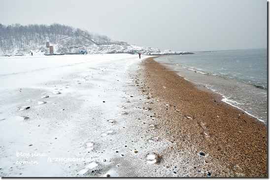 一片银白沙滩 冬季到海边来看雪