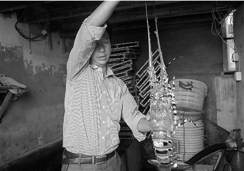 渔民捕获一只4斤多重罕见大龙虾(图)
